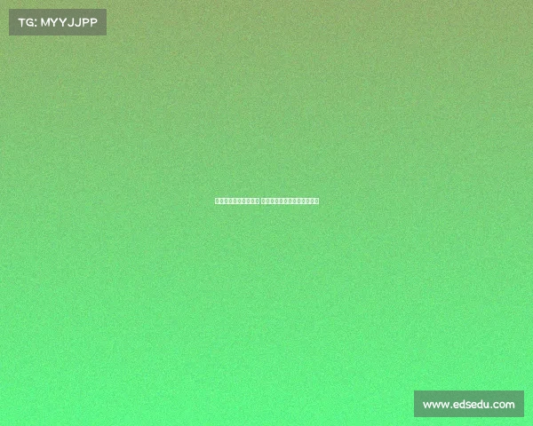 林诗栋全锦赛男单夺冠 创历史新高展现卓越羽坛实力